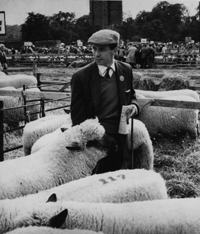 Jim au milieu de ses moutons entre 2 courses Jim au milieu de ses moutons entre 2 courses