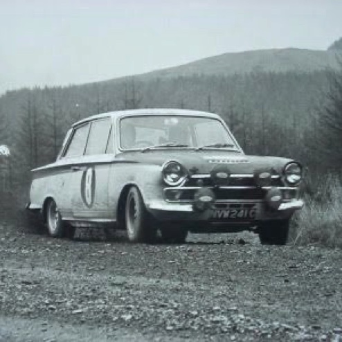 La Cortina Lotus N°8 La Cortina Lotus N°8